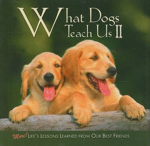 What Dogs Teach Us II