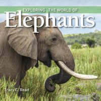 Cover image for Exploring the World of Elephants