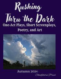 Cover image for Rushing Thru the Dark