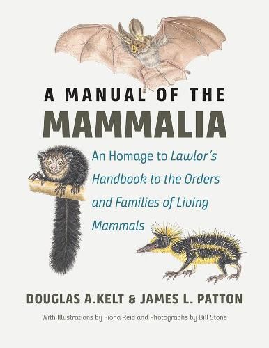 Cover image for A Manual of the Mammalia: An Homage to Lawlor's  handbook to the Orders and Families of Living Mammals