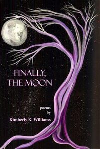 Cover image for Finally, the Moon