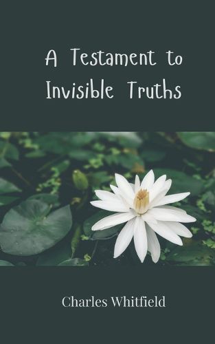 Cover image for A Testament to Invisible Truths