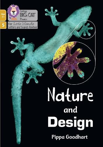 Nature and Design: Phase 5 Set 5