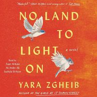 Cover image for No Land to Light on