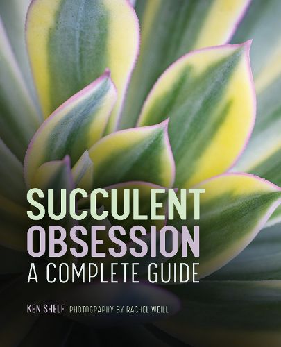 Cover image for Succulent Obsession: A Complete Guide