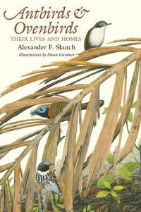 Cover image for Antbirds and Ovenbirds: Their Lives and Homes