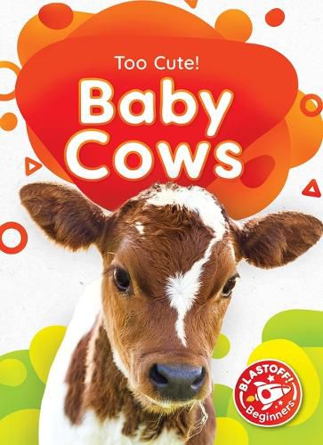 Cover image for Baby Cows