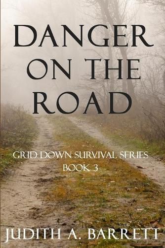 Cover image for Danger on the Road