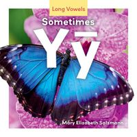 Cover image for Sometimes Yy