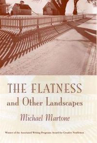 Cover image for The Flatness and Other Landscape