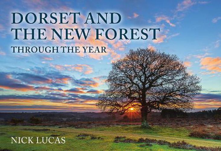 Cover image for Dorset and the New Forest Through the Year