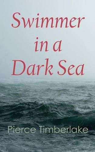 Cover image for Swimmer in a Dark Sea