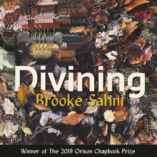 Cover image for Divining