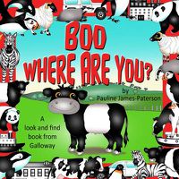 Cover image for Boo Where are You?