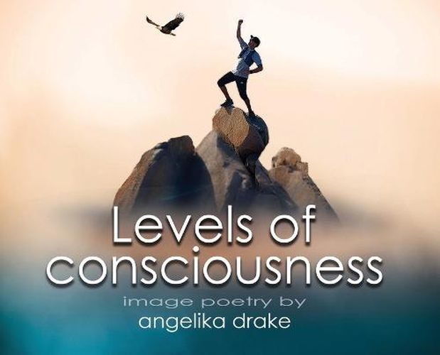 Cover image for Levels of Consciousness