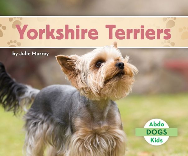 Cover image for Yorkshire Terriers