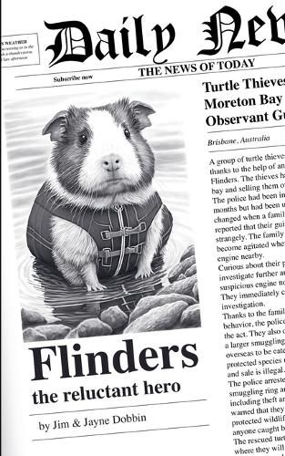 Cover image for Flinders the Reluctant Hero