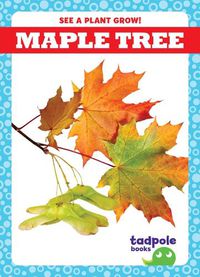 Cover image for Maple Tree