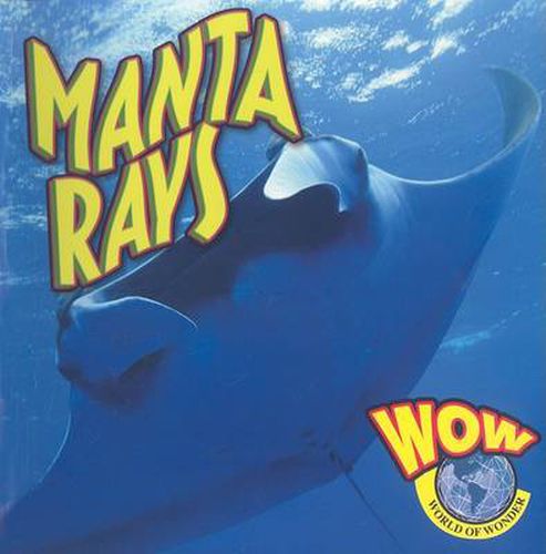 Cover image for Manta Rays