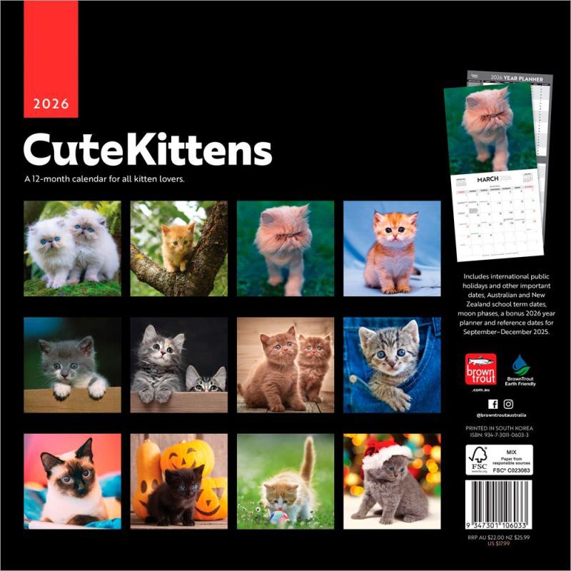 Cute Kittens 2026 Wall Calendar