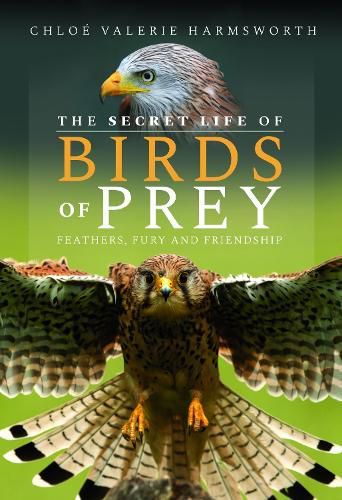 Cover image for The Secret Life of Birds of Prey