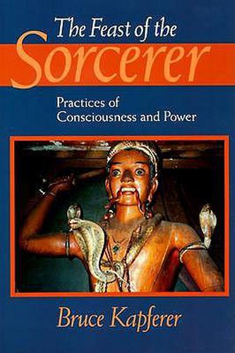 Cover image for The Feast of the Sorcerer: Practices of Consciousness and Power