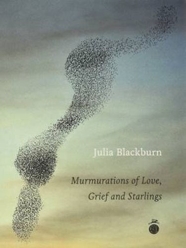 Cover image for Murmurations of Love, Grief and Starlings