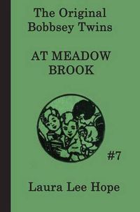 Cover image for The Bobbsey Twins at Meadow Brook