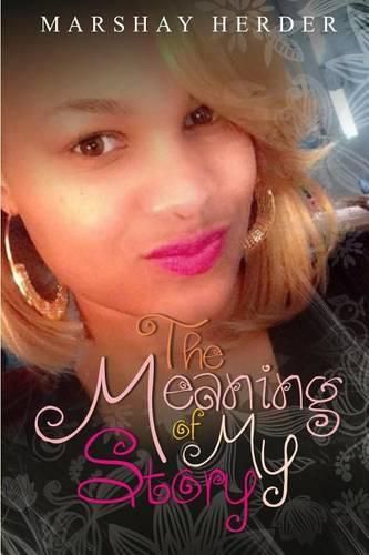 Cover image for The Meaning of My Story