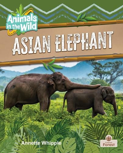 Cover image for Asian Elephant