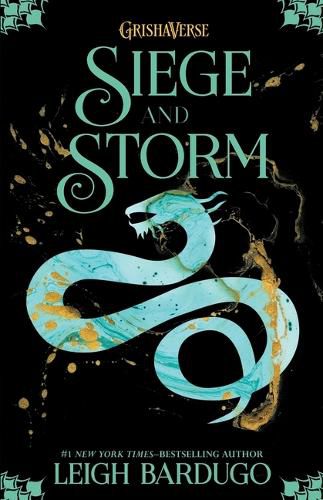 Cover image for Siege and Storm