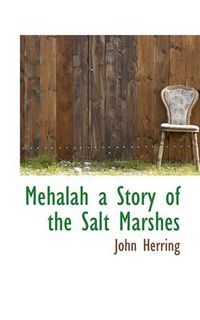 Cover image for Mehalah a Story of the Salt Marshes