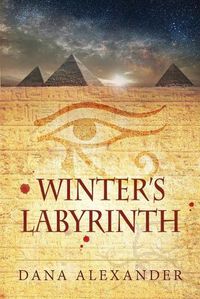 Cover image for Winter's Labyrinth