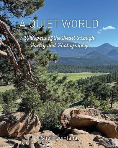 Cover image for A Quiet World