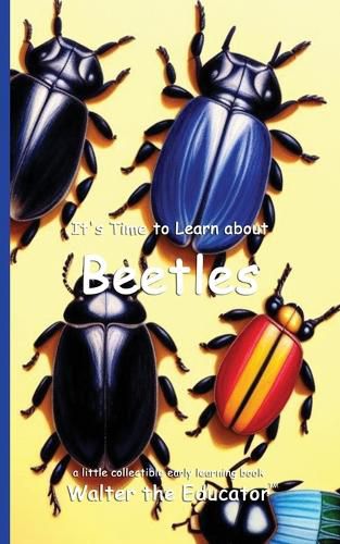 Cover image for It's Time to Learn about Beetles