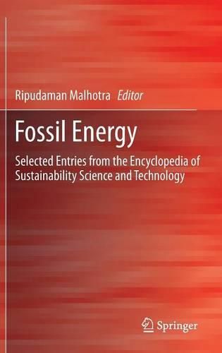 Cover image for Fossil Energy: Selected Entries from the Encyclopedia of Sustainability Science and Technology