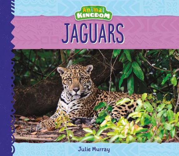Cover image for Jaguars