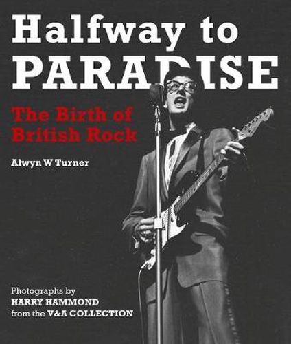 Cover image for Halfway to Paradise: The Birth of British Rock