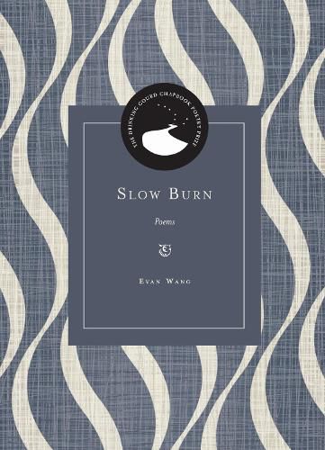 Cover image for Slow Burn
