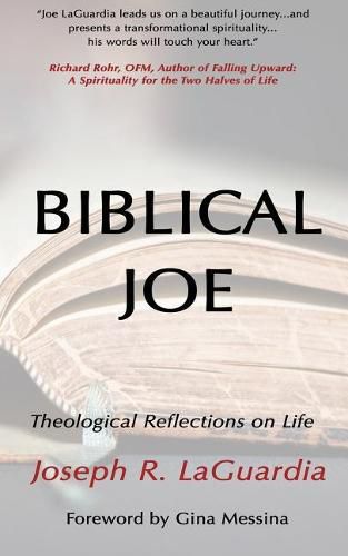 Cover image for Biblical Joe: Theological Reflections on Life