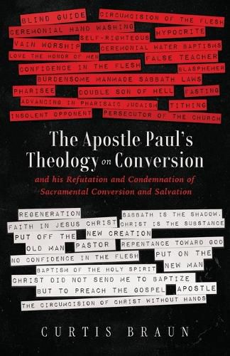 Cover image for The Apostle Paul's Theology on Conversion - and His Refutation and Condemnation of Sacramental Conversion and Salvation