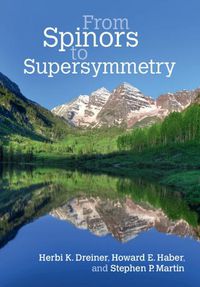 Cover image for Practical Supersymmetry