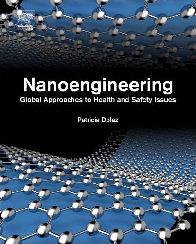 Cover image for Nanoengineering: Global Approaches to Health and Safety Issues