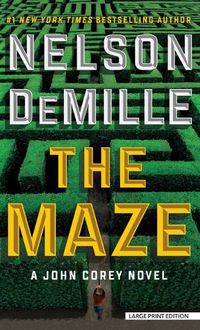 Cover image for The Maze