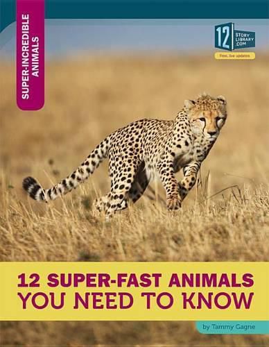 12 Super-Fast Animals You Need to Know