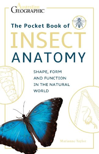 Cover image for The Pocket Book of Insect Anatomy