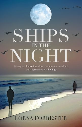 Cover image for Ships in the Night