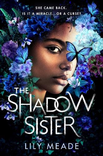 Cover image for The Shadow Sister