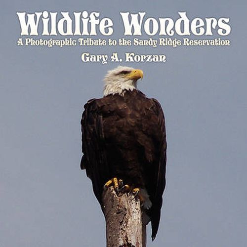 Cover image for Wildlife Wonders