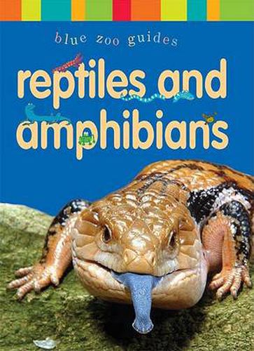 Reptiles & Amphibians